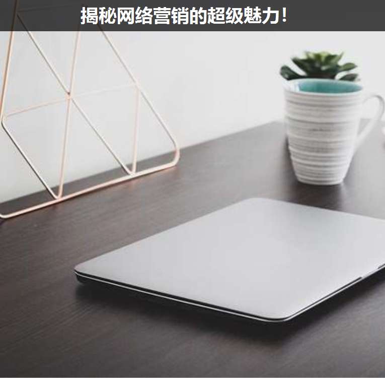 揭秘網(wǎng)絡(luò)營銷的超級魅力!